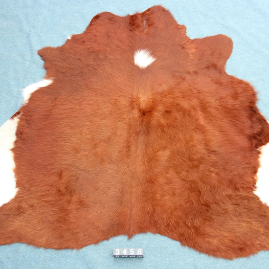 Kuhfell Braun Beige Weiß (3456) 3-4 qm  Gerberei Birke Fellshop: Gesamtaufnahme