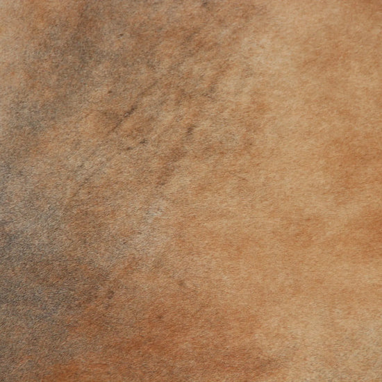 Kuhfell Braun Beige Schwarz (3473) 3-4 qm  Gerberei Birke Fellshop: Nahaufnahme Seite