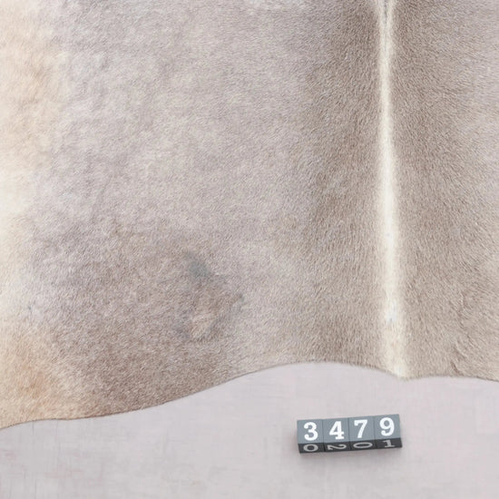 Kuhfell Grau Weiß Beige (3479) 3-4 qm  Gerberei Birke Fellshop: Nahaufnahme Rückenende