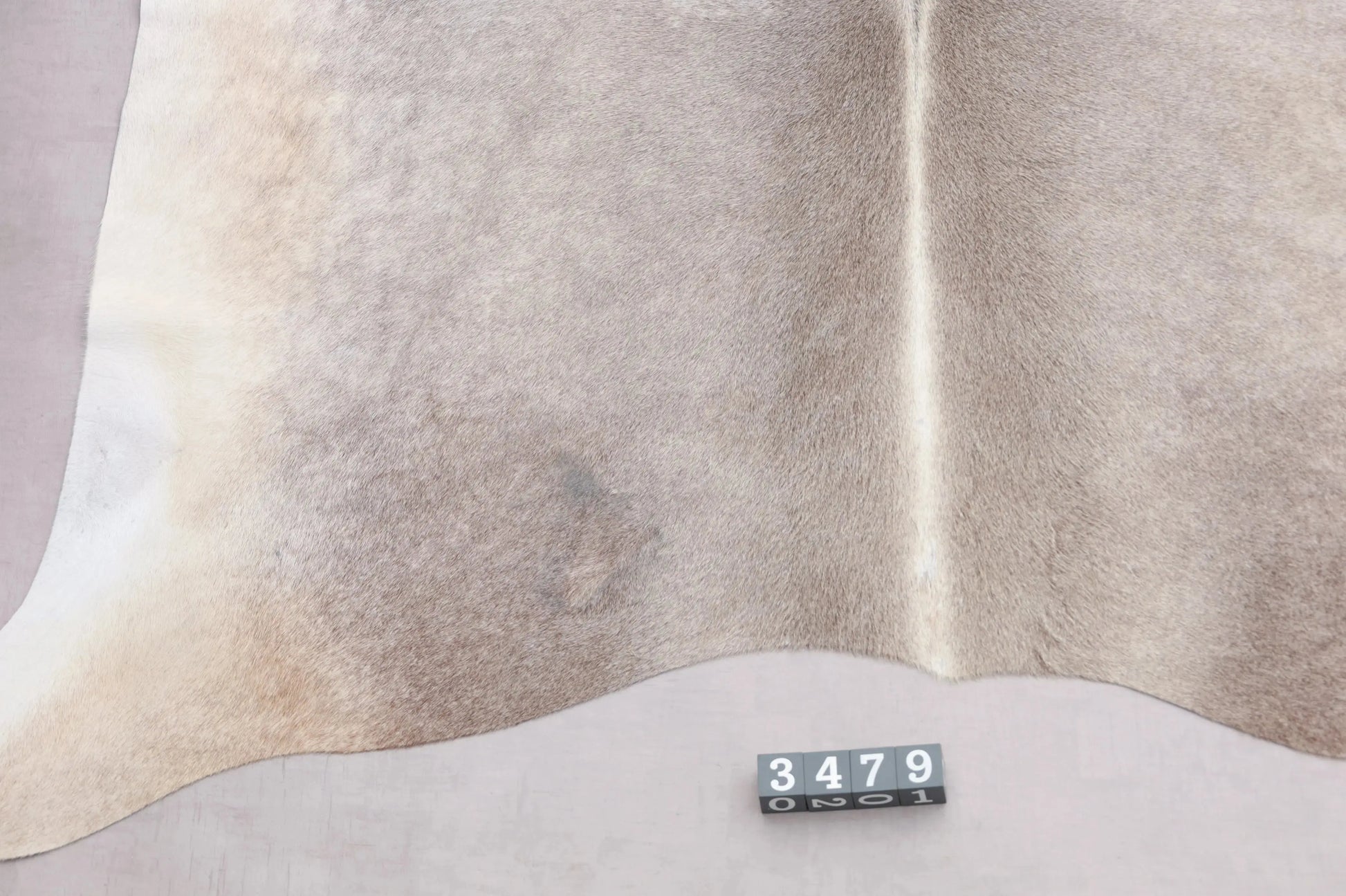 Kuhfell Grau Weiß Beige (3479) 3-4 qm  Gerberei Birke Fellshop: Nahaufnahme Rückenende