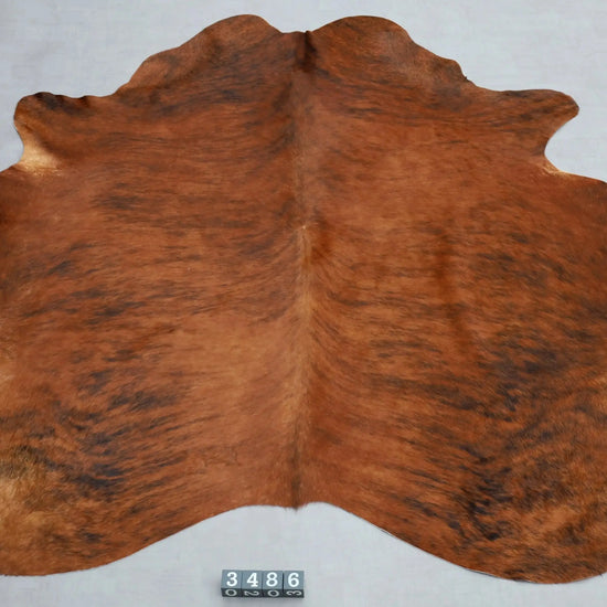 Kuhfell Braun Schwarz getigert (3486) 3-4 qm  Gerberei Birke Fellshop: Gesamtaufnahme
