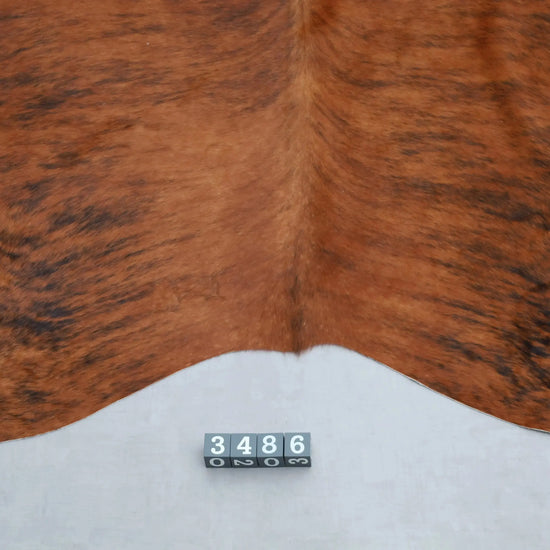 Kuhfell Braun Schwarz getigert (3486) 3-4 qm  Gerberei Birke Fellshop: Nahaufnahme Rückenende