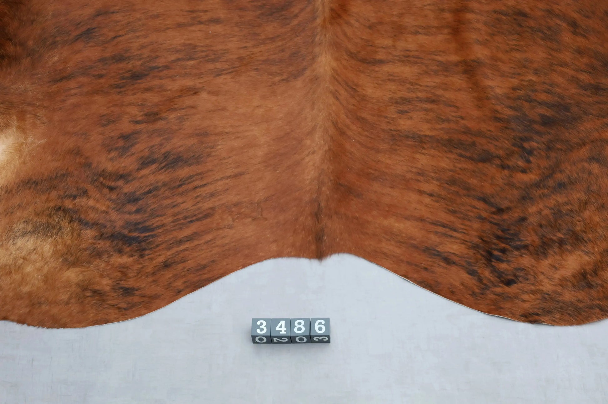 Kuhfell Braun Schwarz getigert (3486) 3-4 qm  Gerberei Birke Fellshop: Nahaufnahme Rückenende