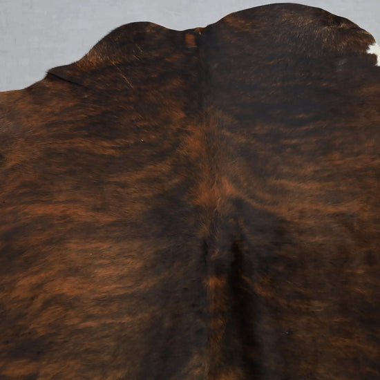 Kuhfell Schwarz Weiß Braun getigert (3489) 3-4 qm  Gerberei Birke Fellshop: Nahaufnahme Hals