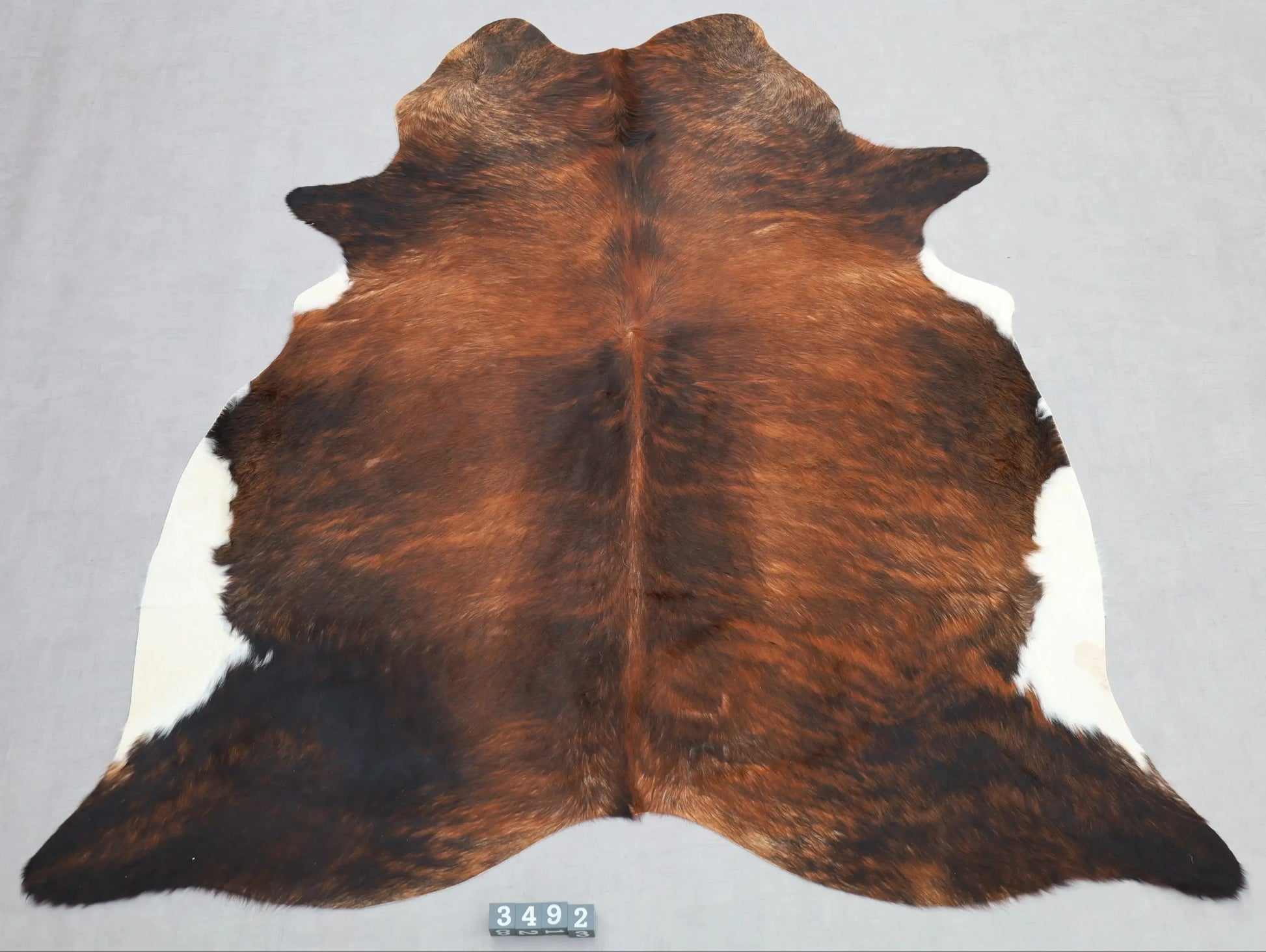Kuhfell Braun Schwarz Weiß getigert (3492) 3-4 qm  Gerberei Birke Fellshop: Gesamtaufnahme