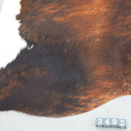 Kuhfell Braun Schwarz Weiß getigert (3492) 3-4 qm  Gerberei Birke Fellshop: Nahaufnahme Bein