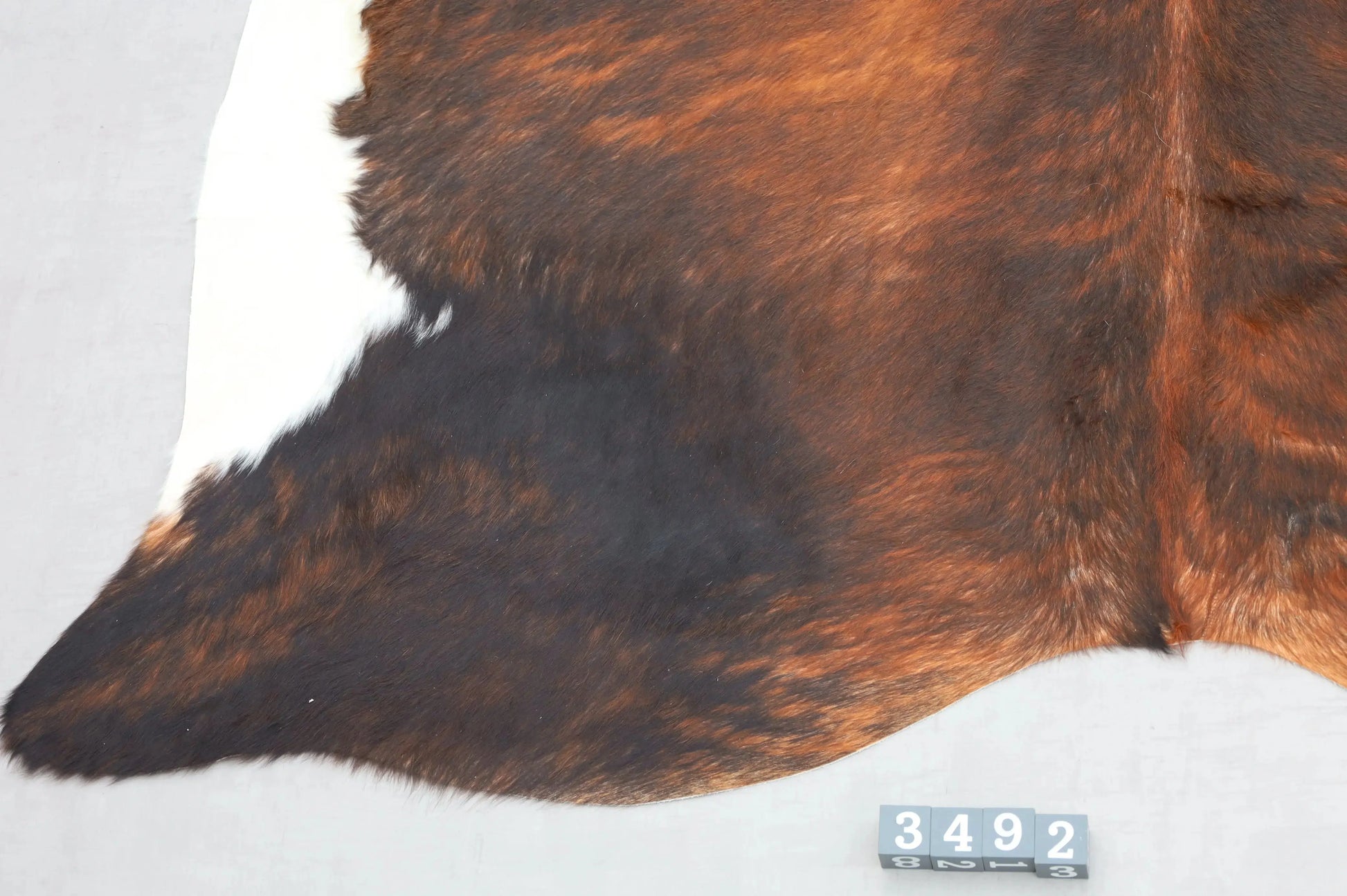 Kuhfell Braun Schwarz Weiß getigert (3492) 3-4 qm  Gerberei Birke Fellshop: Nahaufnahme Bein
