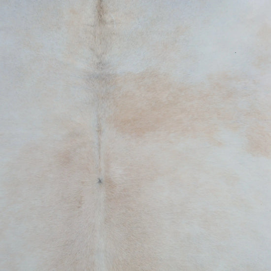 Kuhfell Weiß Beige (3495) 3-4 qm  Gerberei Birke Fellshop: Nahaufnahme Rücken