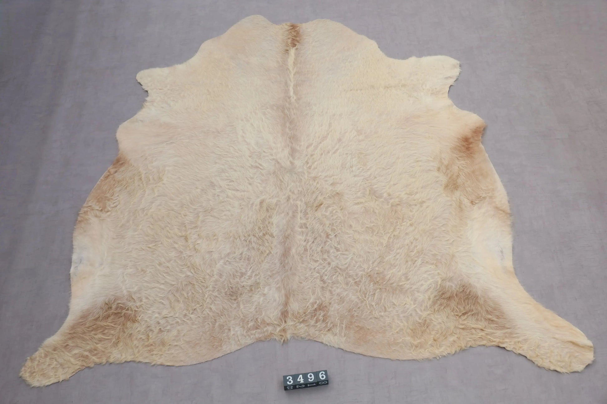 Kuhfell Weiß Beige Gold Langhaar (3496) 3-4 qm  Gerberei Birke Fellshop: Gesamtaufnahme