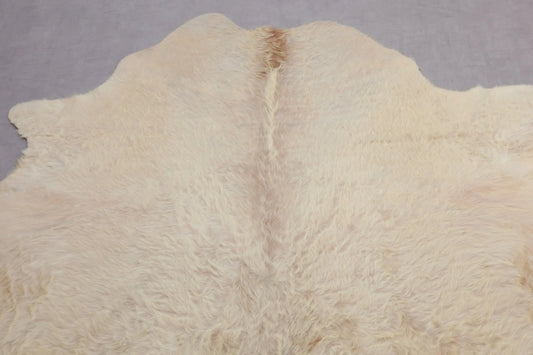Kuhfell Weiß Beige Gold Langhaar (3496) 3-4 qm  Gerberei Birke Fellshop: Nahaufnahme Hals
