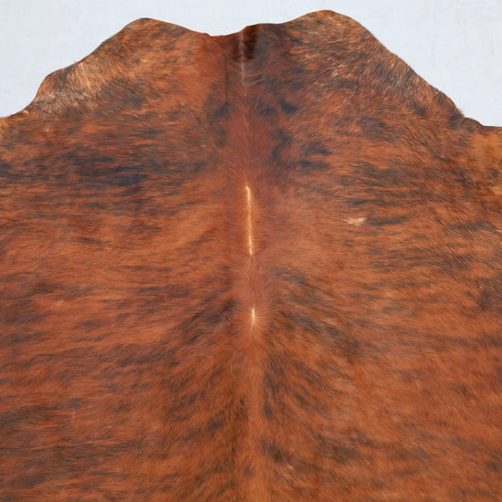 Kuhfell Rot-Braun Schwarz Weiß getigert (3498) 3-4 qm  Gerberei Birke Fellshop: Nahaufnahme Hals
