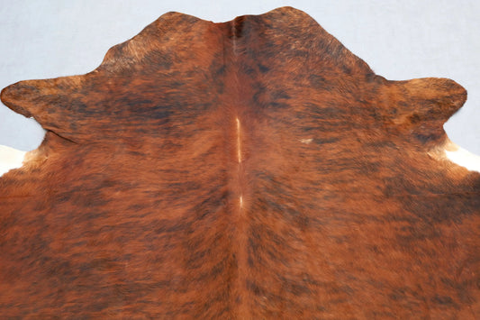 Kuhfell Rot-Braun Schwarz Weiß getigert (3498) 3-4 qm  Gerberei Birke Fellshop: Nahaufnahme Hals