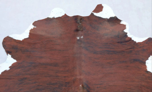 Kuhfell Schwarz Braun Weiß getigert (3502) 3-4 qm  Gerberei Birke Fellshop: Nahaufnahme Hals