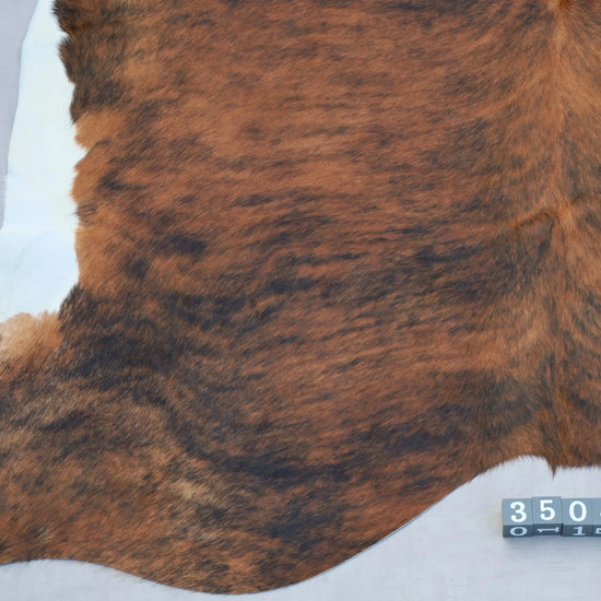 Kuhfell Schwarz Braun Weiß getigert (3504) 3-4 qm  Gerberei Birke Fellshop: Nahaufnahme Rückenende