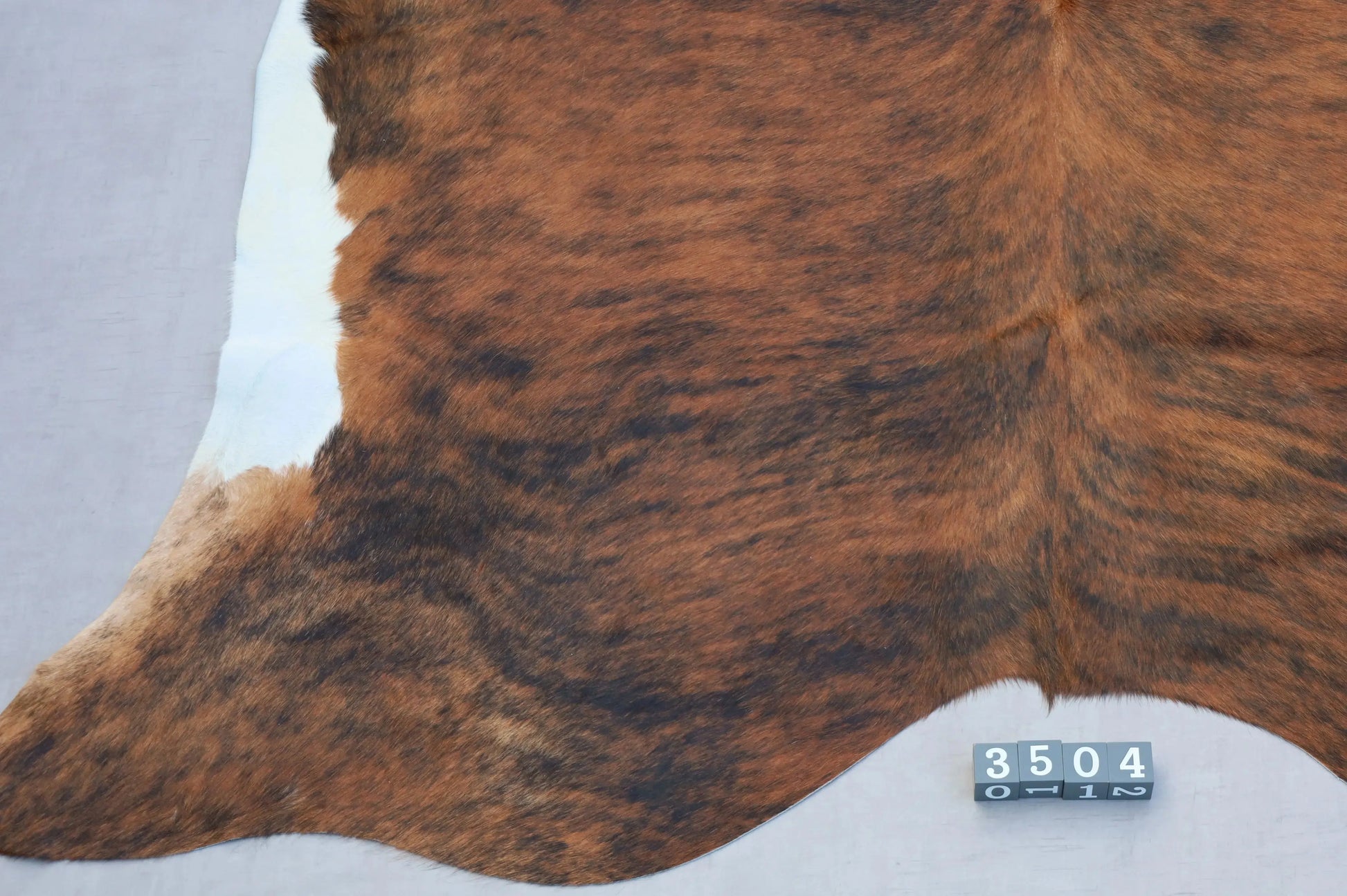 Kuhfell Schwarz Braun Weiß getigert (3504) 3-4 qm  Gerberei Birke Fellshop: Nahaufnahme Rückenende