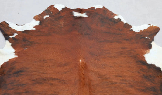 Kuhfell Schwarz Braun Weiß getigert (3507) 3-4 qm  Gerberei Birke Fellshop: Nahaufnahme Hals