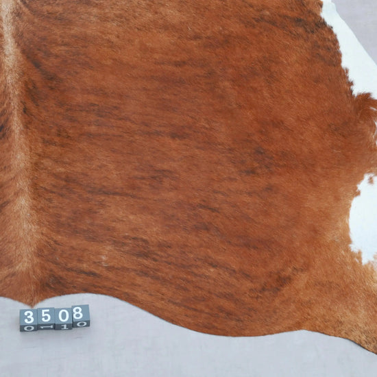 Kuhfell Schwarz Braun Weiß getigert (3508) 3-4 qm  Gerberei Birke Fellshop: Nahaufnahme Rückenende