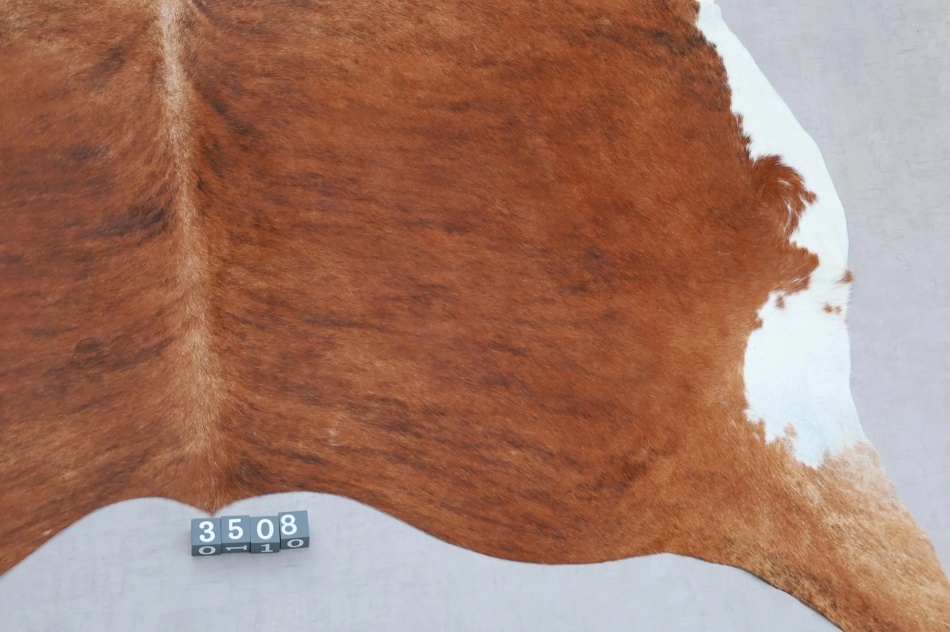 Kuhfell Schwarz Braun Weiß getigert (3508) 3-4 qm  Gerberei Birke Fellshop: Nahaufnahme Rückenende