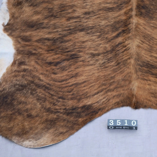Kuhfell Schwarz Braun Weiß getigert (3510) 3-4 qm  Gerberei Birke Fellshop: Nahaufnahme Rückenende