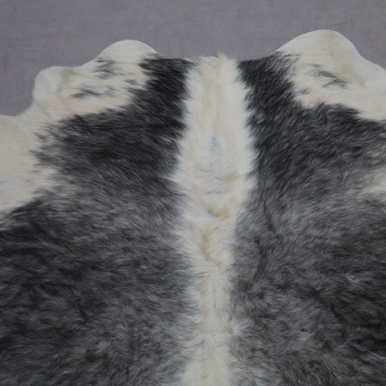 Kuhfell Grau Weiß Gelblich Langhaar (3511) 3-4 qm  Gerberei Birke Fellshop: Nahaufnahme Hals