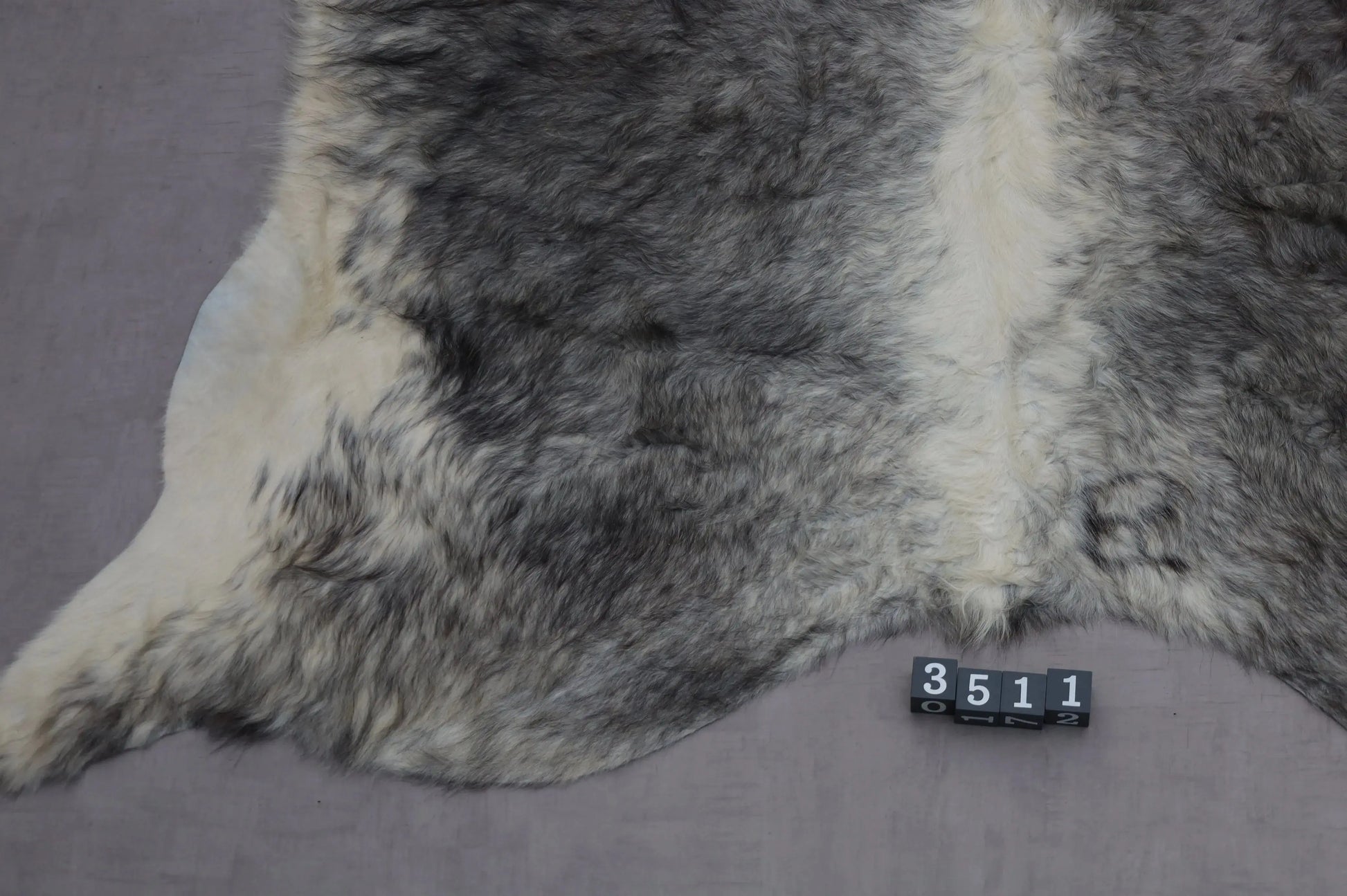 Kuhfell Grau Weiß Gelblich Langhaar (3511) 3-4 qm  Gerberei Birke Fellshop: Nahaufnahme Rückenende