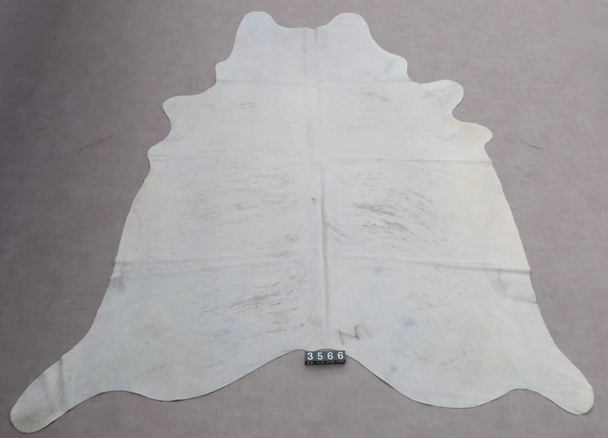 Kuhfell Weiß Beige mit Brandzeichen (3566) 3-4 qm  Gerberei Birke Fellshop: Gesamtaufnahme