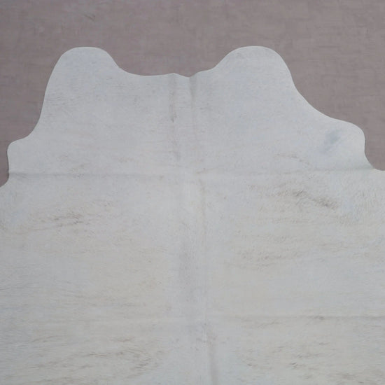 Kuhfell Weiß Beige mit Brandzeichen (3566) 3-4 qm  Gerberei Birke Fellshop: Nahaufnahme Hals