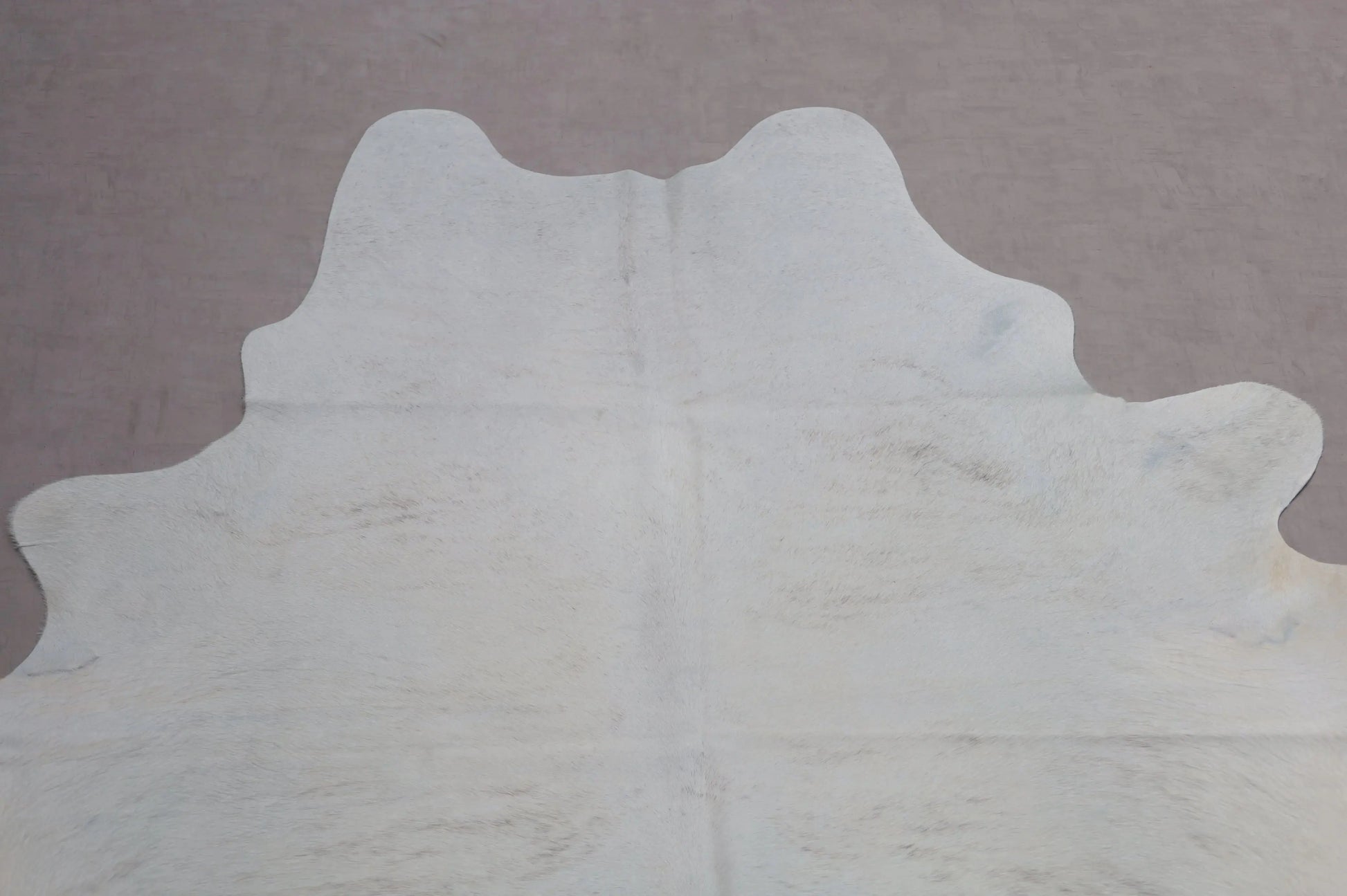 Kuhfell Weiß Beige mit Brandzeichen (3566) 3-4 qm  Gerberei Birke Fellshop: Nahaufnahme Hals
