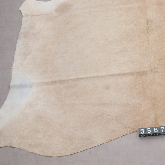 Kuhfell Beige Weiß (3567) 3-4 qm  Gerberei Birke Fellshop: Nahaufnahme Bein