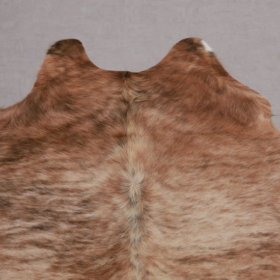 Kuhfell Braun Beige Weiß getigert (3568) 3-4 qm  Gerberei Birke Fellshop: Nahaufnahme Hals