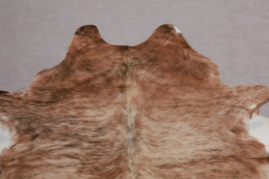 Kuhfell Braun Beige Weiß getigert (3568) 3-4 qm  Gerberei Birke Fellshop: Nahaufnahme Hals