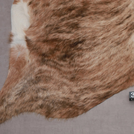 Kuhfell Braun Beige Weiß getigert (3568) 3-4 qm  Gerberei Birke Fellshop: Nahaufnahme Bein