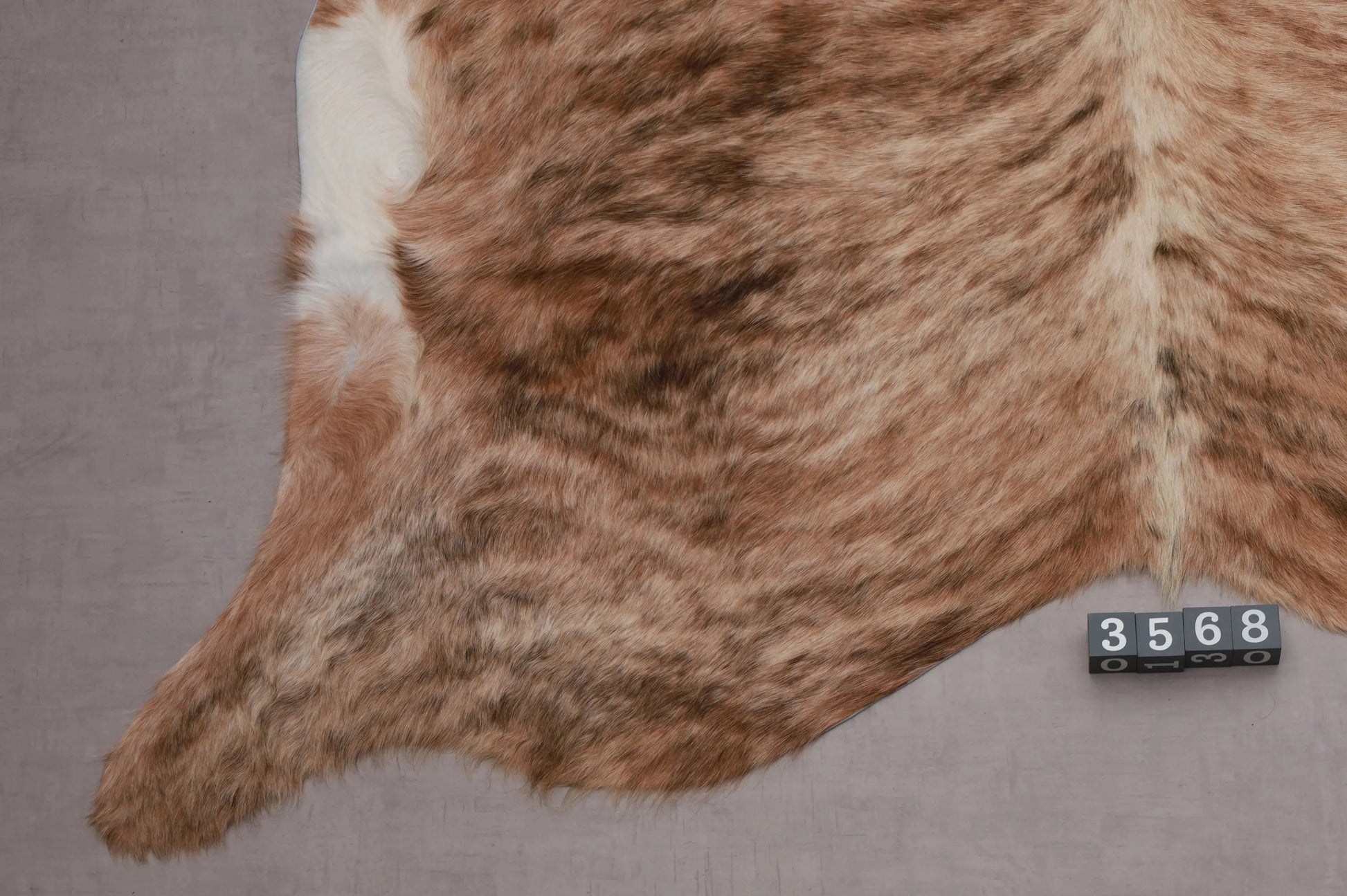 Kuhfell Braun Beige Weiß getigert (3568) 3-4 qm  Gerberei Birke Fellshop: Nahaufnahme Bein