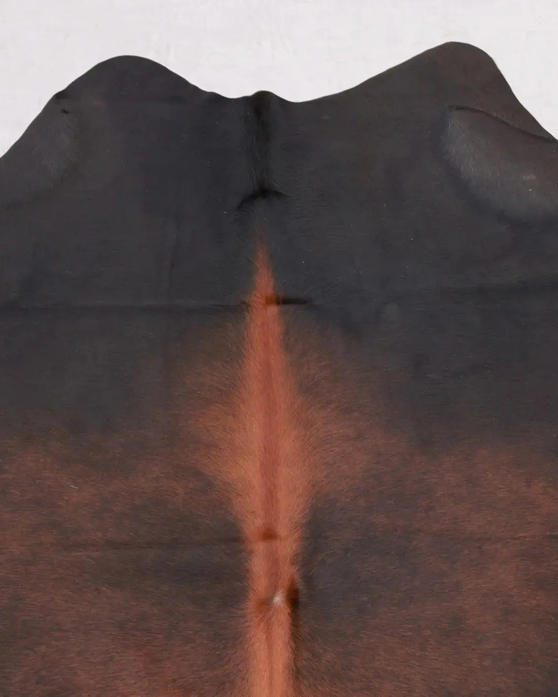 Kuhfell Braun Schwarz (3581) 3-4 qm  Gerberei Birke Fellshop: Nahaufnahme Hals