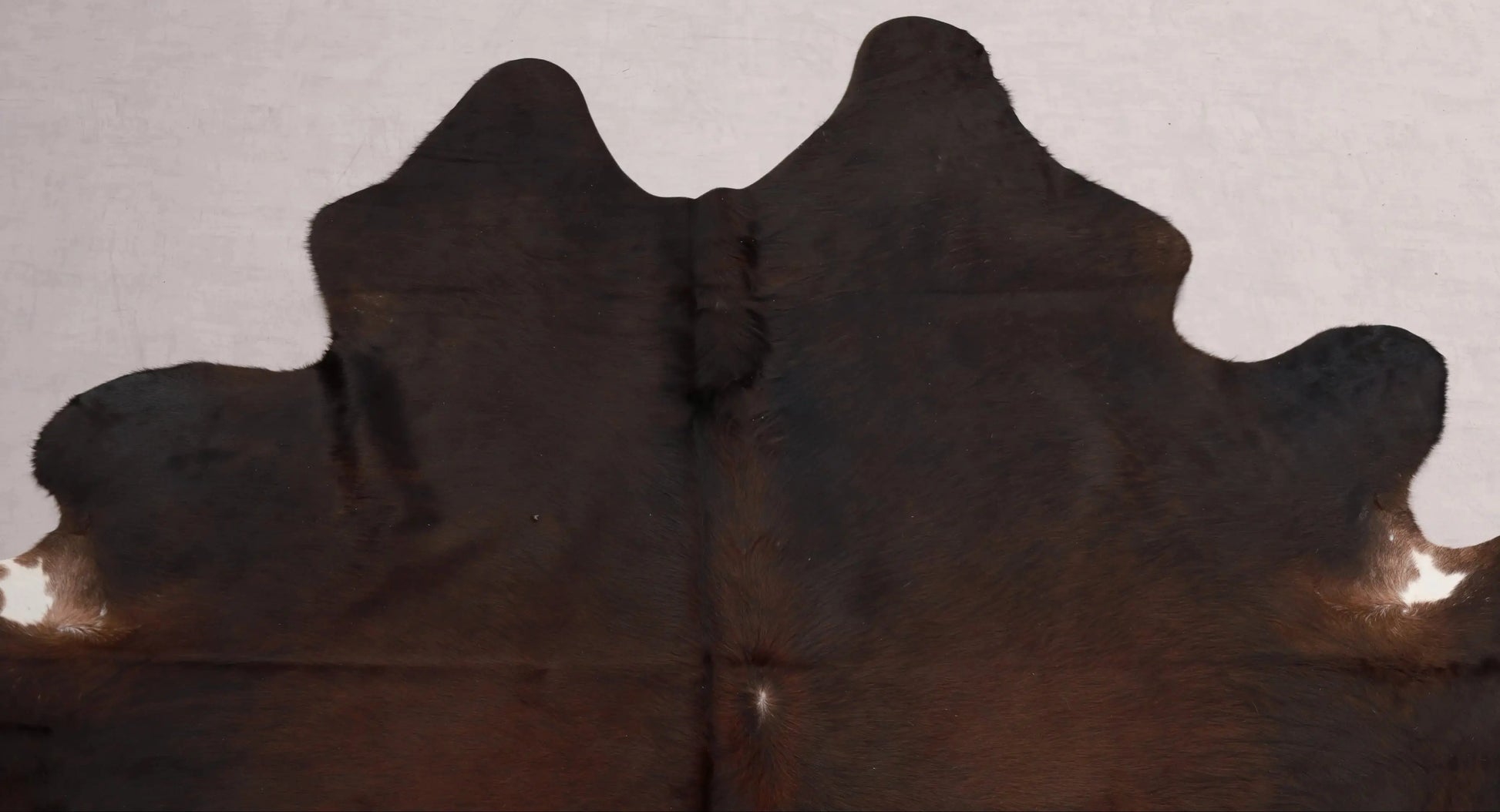 Kuhfell Braun Weiß Schwarz (3583) 3-4 qm  Gerberei Birke Fellshop: Nahaufnahme Hals