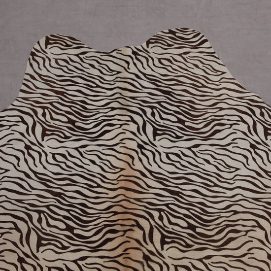 Kuhfell Schwarz Weiß Zebra (3585) 3-4 qm  Gerberei Birke Fellshop: Nahaufnahme Hals
