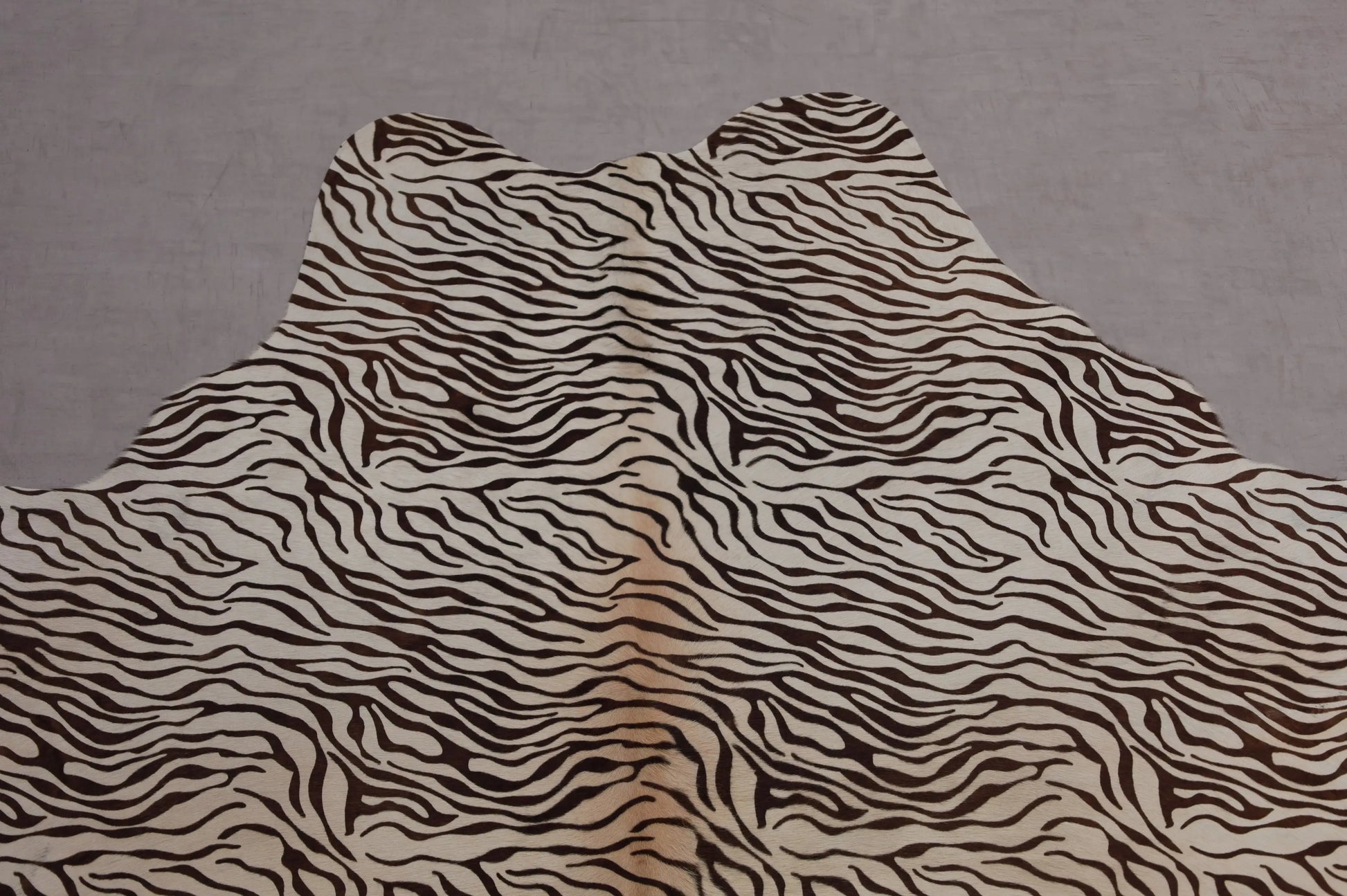 Kuhfell Schwarz Weiß Zebra (3585) 3-4 qm  Gerberei Birke Fellshop: Nahaufnahme Hals