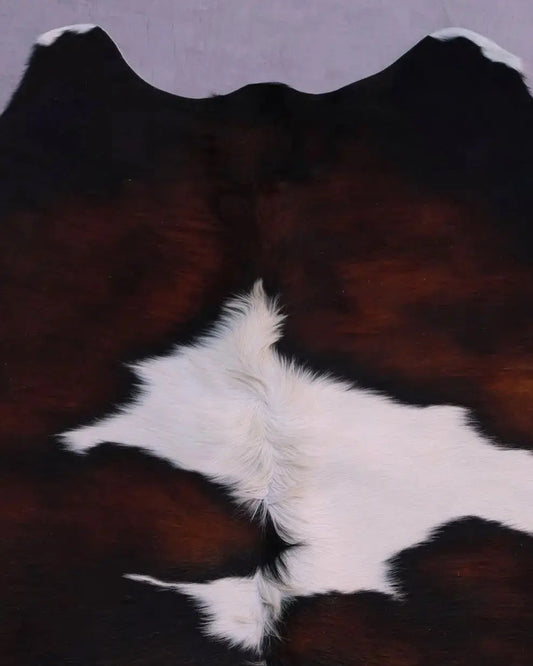 Kuhfell Schwarz Weiß Braun mit gelbstich (3596) 3-4 qm  Gerberei Birke Fellshop: Nahaufnahme Hals