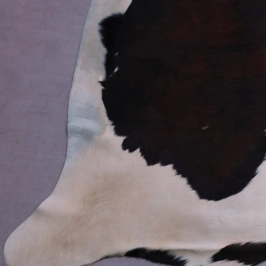 Kuhfell Schwarz Weiß Braun mit gelbstich (3596) 3-4 qm  Gerberei Birke Fellshop: Nahaufnahme Bein
