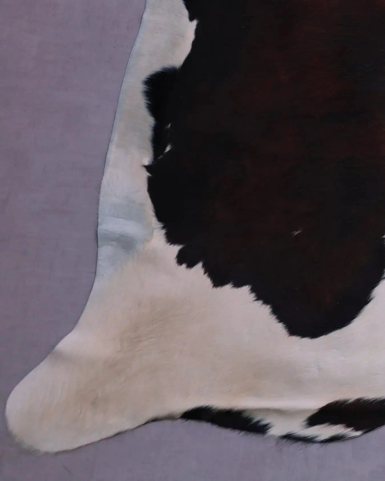 Kuhfell Schwarz Weiß Braun mit gelbstich (3596) 3-4 qm  Gerberei Birke Fellshop: Nahaufnahme Bein