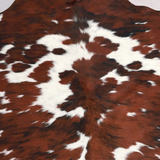 Kuhfell Schwarz Weiß Braun Normandie (3601) 3-4 qm  Gerberei Birke Fellshop: Nahaufnahme Hals