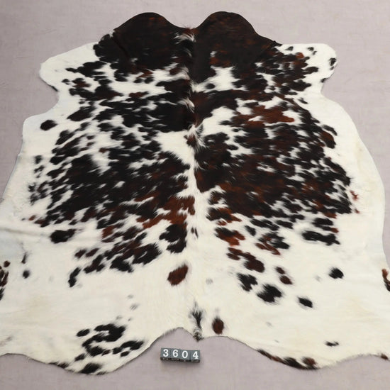 Kuhfell Schwarz Weiß Braun Normandie (3604) 3-4 qm  Gerberei Birke Fellshop: Gesamtaufnahme 