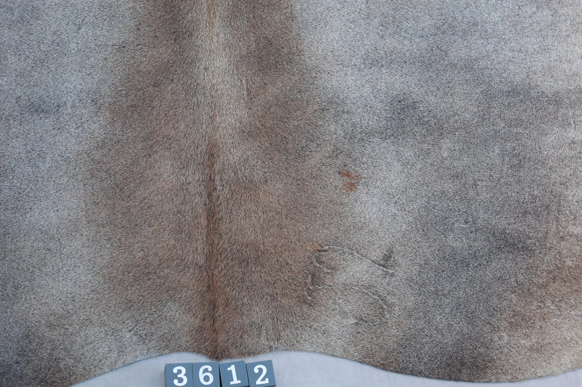 Kuhfell Grau Weiß Braun (3612) 3-4 qm  Gerberei Birke Fellshop: Nahaufnahme Rückenende