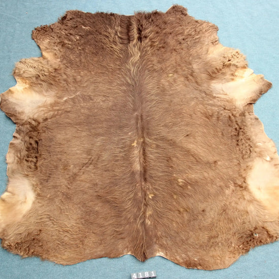 Kuhfell Braun (4181) XXL 4-5 qm  Gerberei Birke Fellshop: Gesamtaufnahme