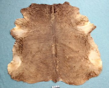 Kuhfell Braun (4181) XXL 4-5 qm  Gerberei Birke Fellshop: Gesamtaufnahme