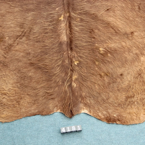 Kuhfell Braun (4181) XXL 4-5 qm  Gerberei Birke Fellshop: Nahaufnahme Rückenende