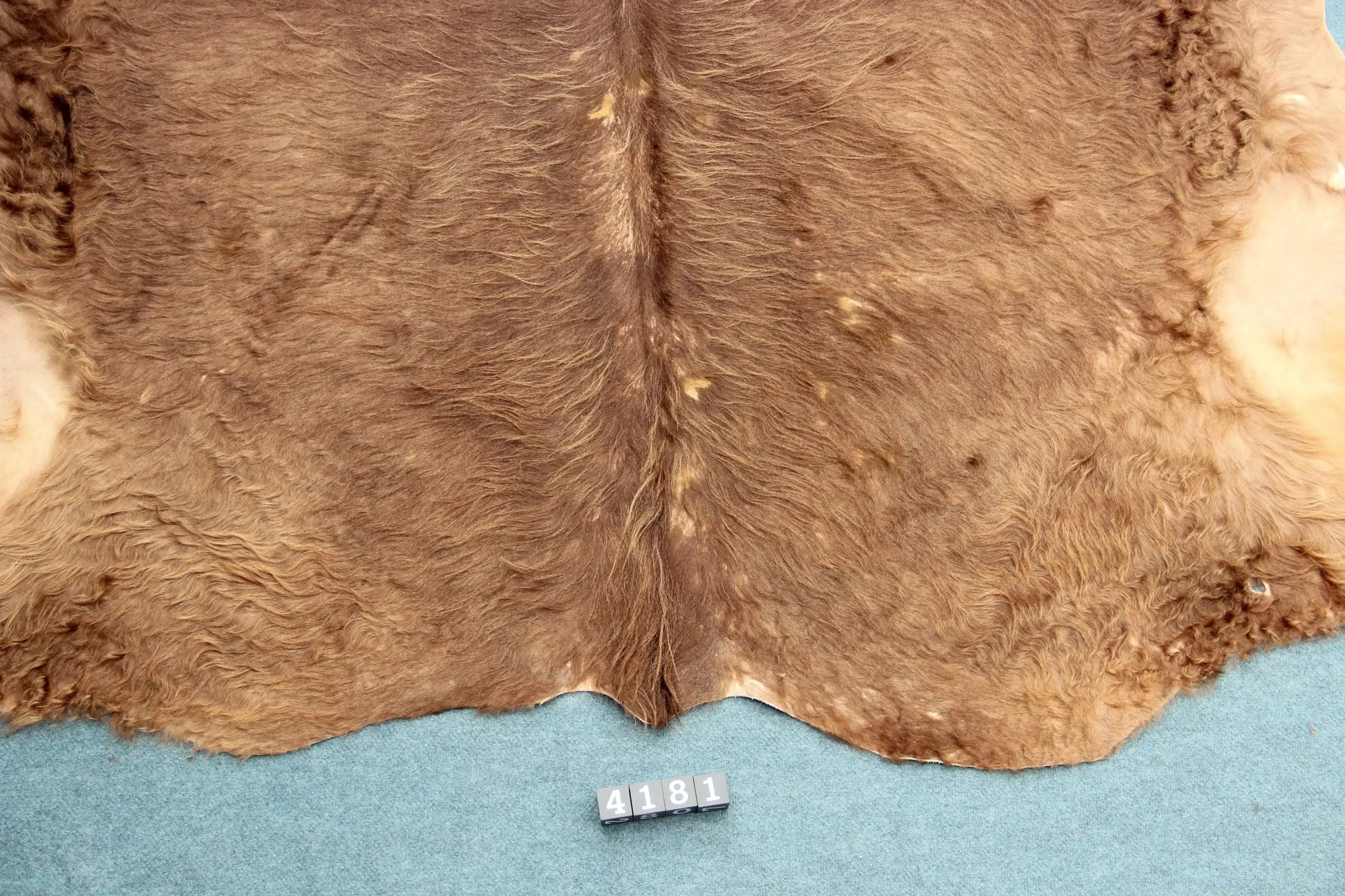 Kuhfell Braun (4181) XXL 4-5 qm  Gerberei Birke Fellshop: Nahaufnahme Rückenende