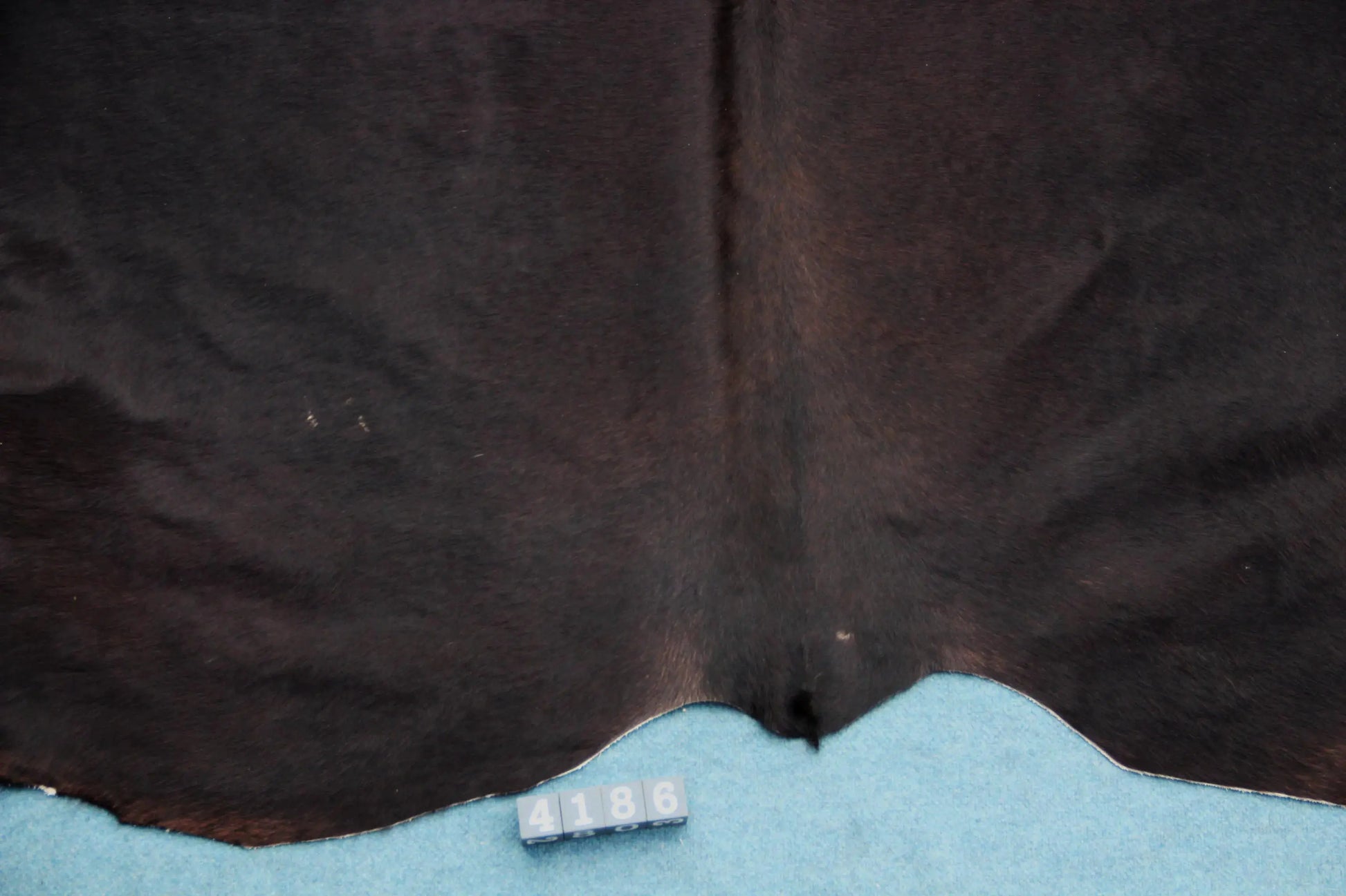 Kuhfell Braun Schwarz (4186) XXL 4-5 qm  Gerberei Birke Fellshop: Nahaufnahme Rückenende