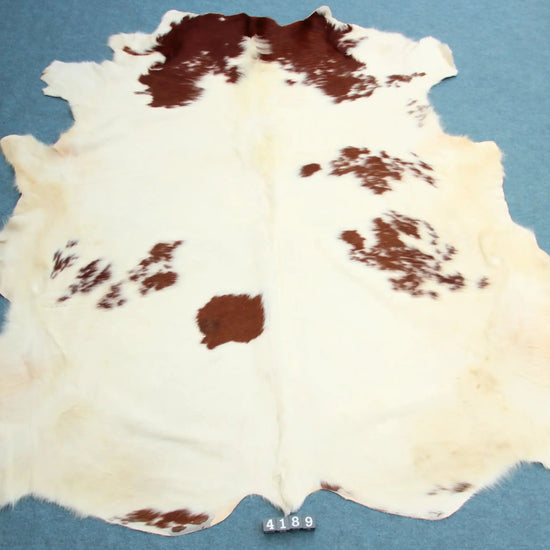 Kuhfell Rot Weiß (4189) XXL 4-5 qm  Gerberei Birke Fellshop: Gesamtaufnahme