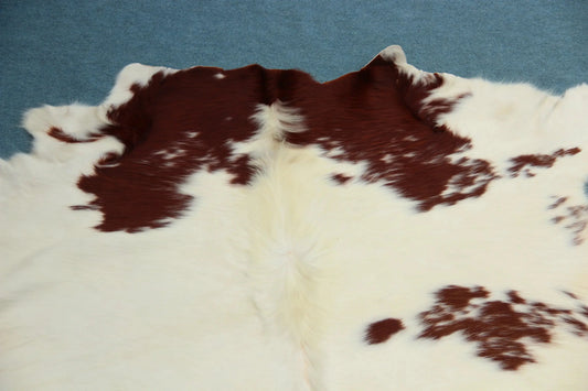 Kuhfell Rot Weiß (4189) XXL 4-5 qm  Gerberei Birke Fellshop: Nahaufnahme Hals